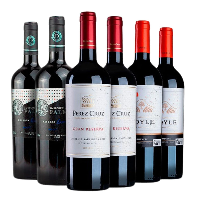 Kit 6 Mais Vendidos Chile