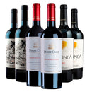 Kit 6 Tintos Seleção Distinta