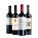 Kit Coleção Intensa